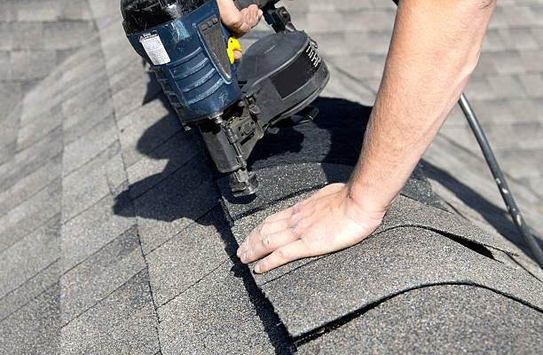Best Roof Moss and Algae Removal  in Mountain Lake Park, MD